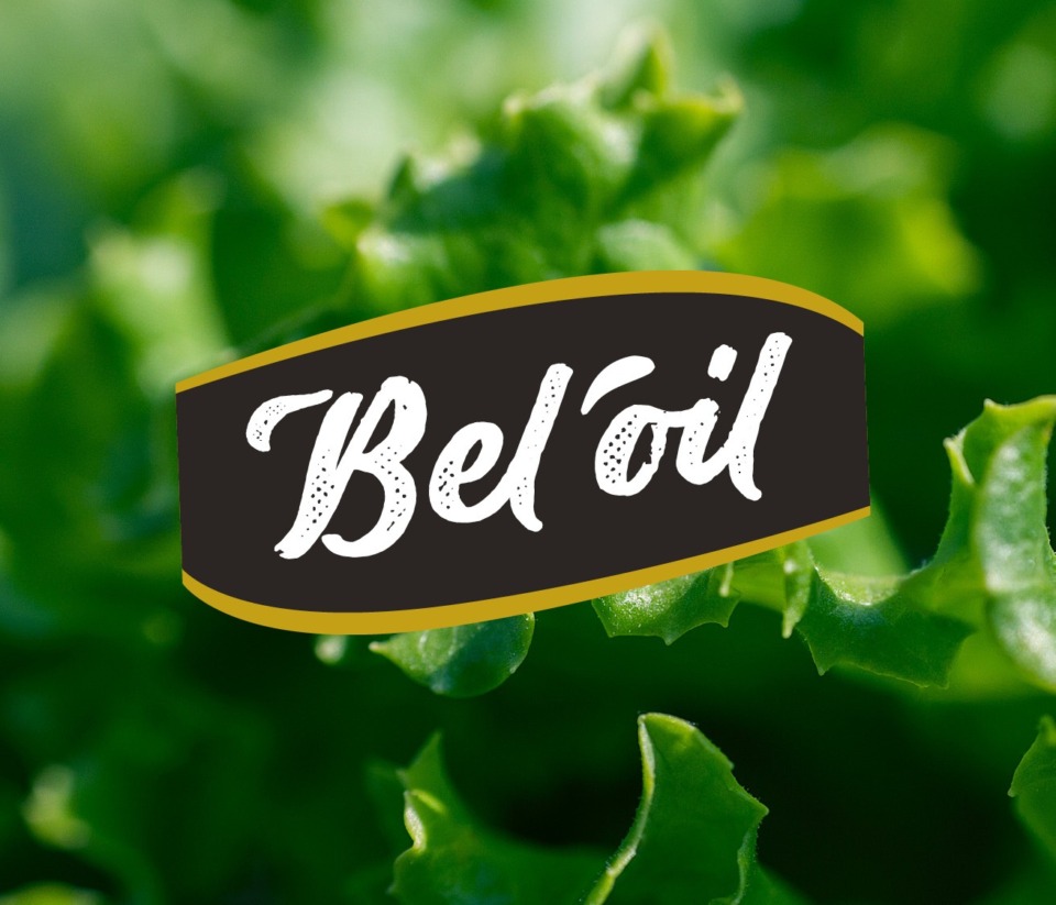 Bel Oil Logo